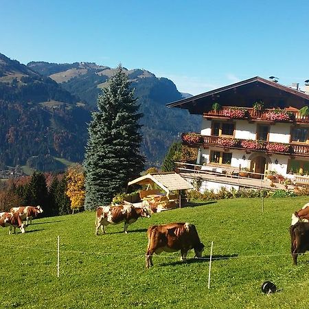 Apartamento Hof Hamoos Kitzbühel Exterior foto