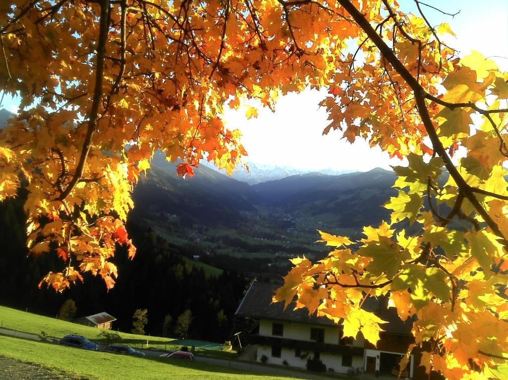 Apartamento Hof Hamoos Kitzbühel Exterior foto