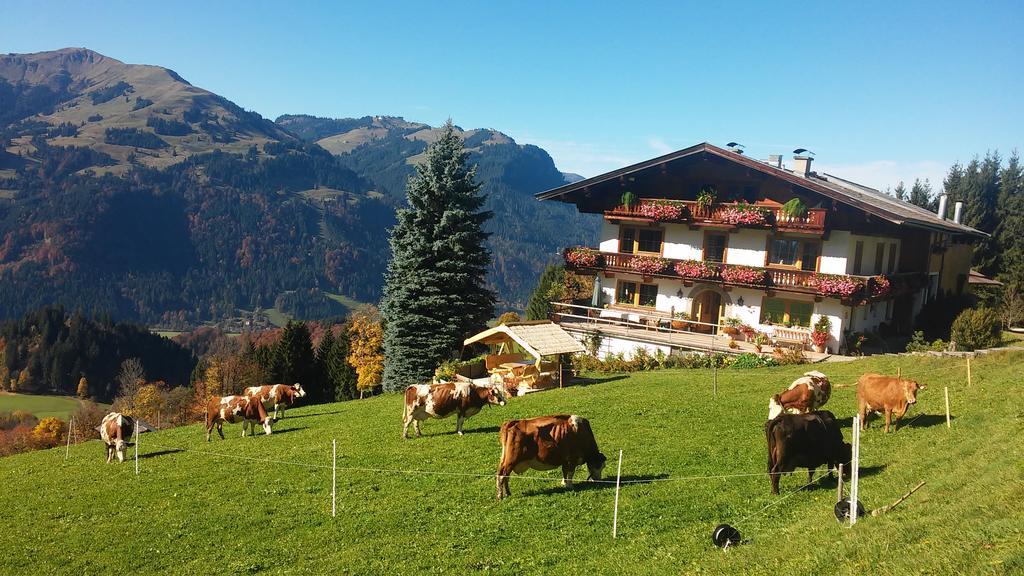 Apartamento Hof Hamoos Kitzbühel Exterior foto